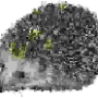 obstacle003.png